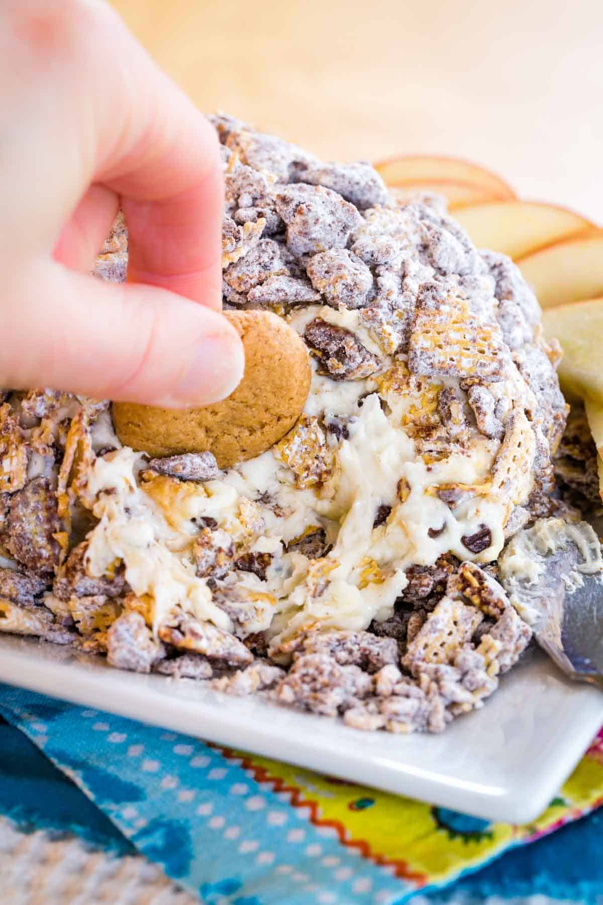 A small cookie being dipped into a chocolate chip cheese ball.