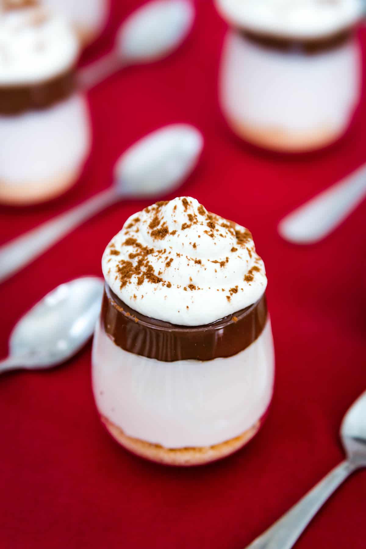 A closeup of one parfait with a graham cracker crumb base topped with cheesecake, Nutella, and whipped cream.