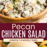 A bowl of chicken salad with peaches and a chicken salad sandwich on a roll and a divided by a maroon box with text overlay that says "Pecan Chicken Salad" and the words creamy, crunchy, and tasty.