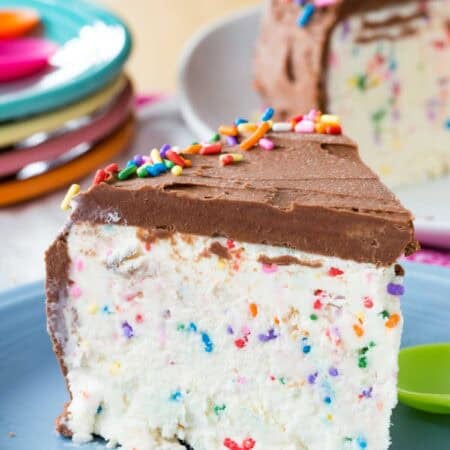 Ice cream cake filled with sprinkles and chocolate frosting.