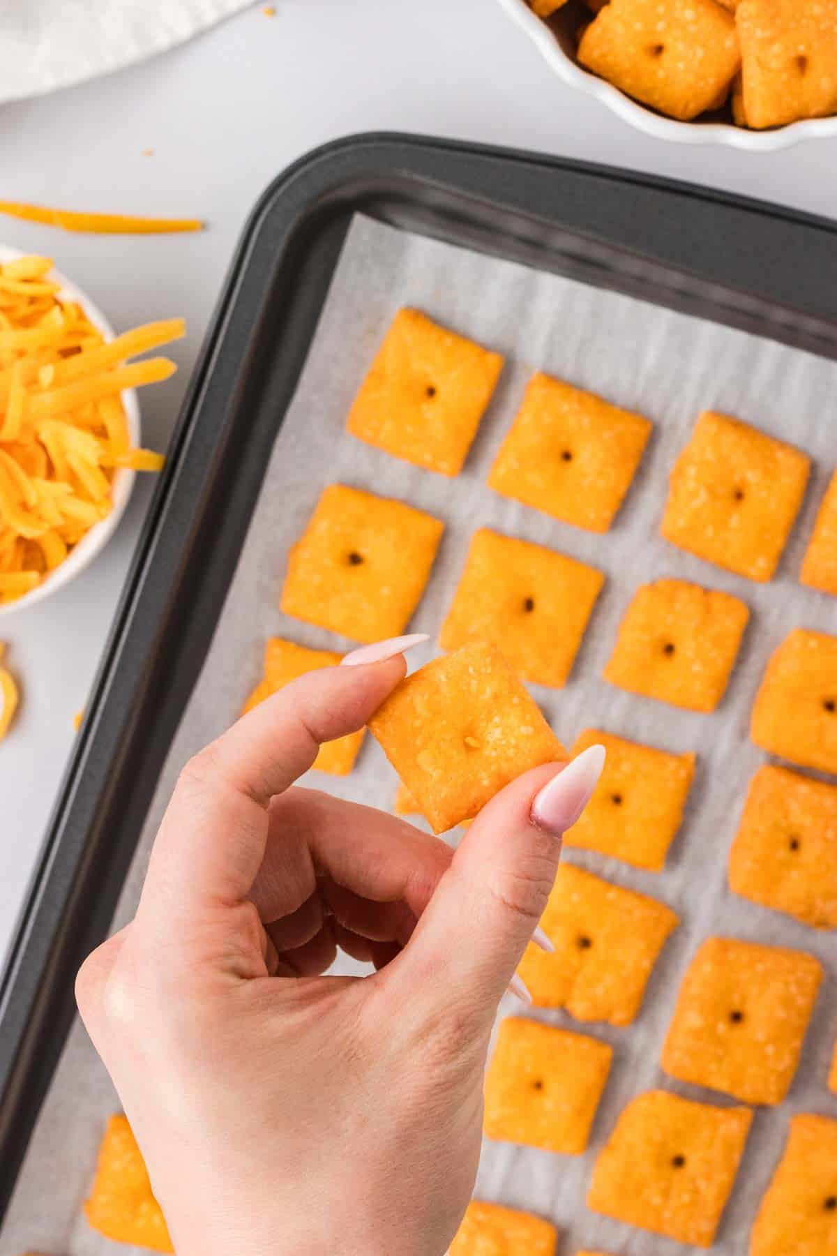 A hand holding a gluten-free cheddar cracker up to the camera.