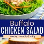 Chicken salad on top of greens and a chicken salad sandwich on a plate with celery and carrots divided by a blue box with text overlay that says "Buffalo Chicken Salad" and the words creamy, crunchy, and spicy.