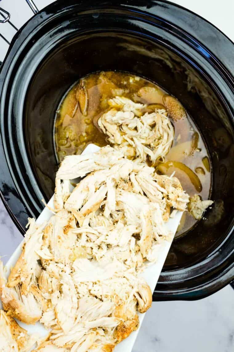 This easy slow cooker pulled chicken is simmered for hours with hard apple cider, apples, and onion. It's SO tender and ideal for sandwiches! Returning apple cider chicken to the crockpot after shredding it.