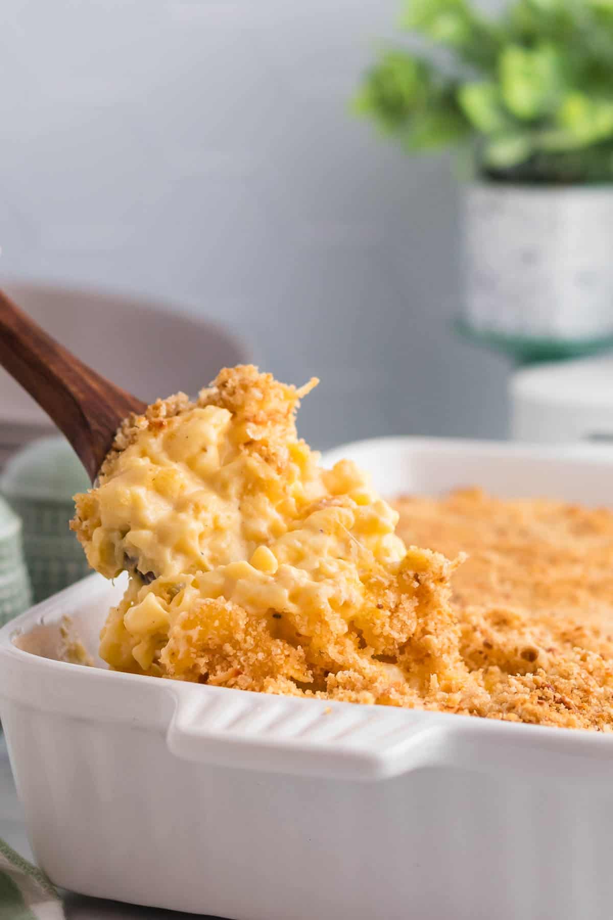 This gluten-free mac and cheese is so creamy and satisfying, with a crunchy breadcrumb topping that takes it over the edge! A spoon scooping gluten free mac and cheese out of a baking dish.