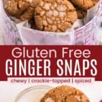 Gingersnap cookies in a tin and one balanced on a glass of milk divided by a red box with text overlay that says "Gluten Free Ginger Snaps" and the words chewy, crackle-topped, and spiced.