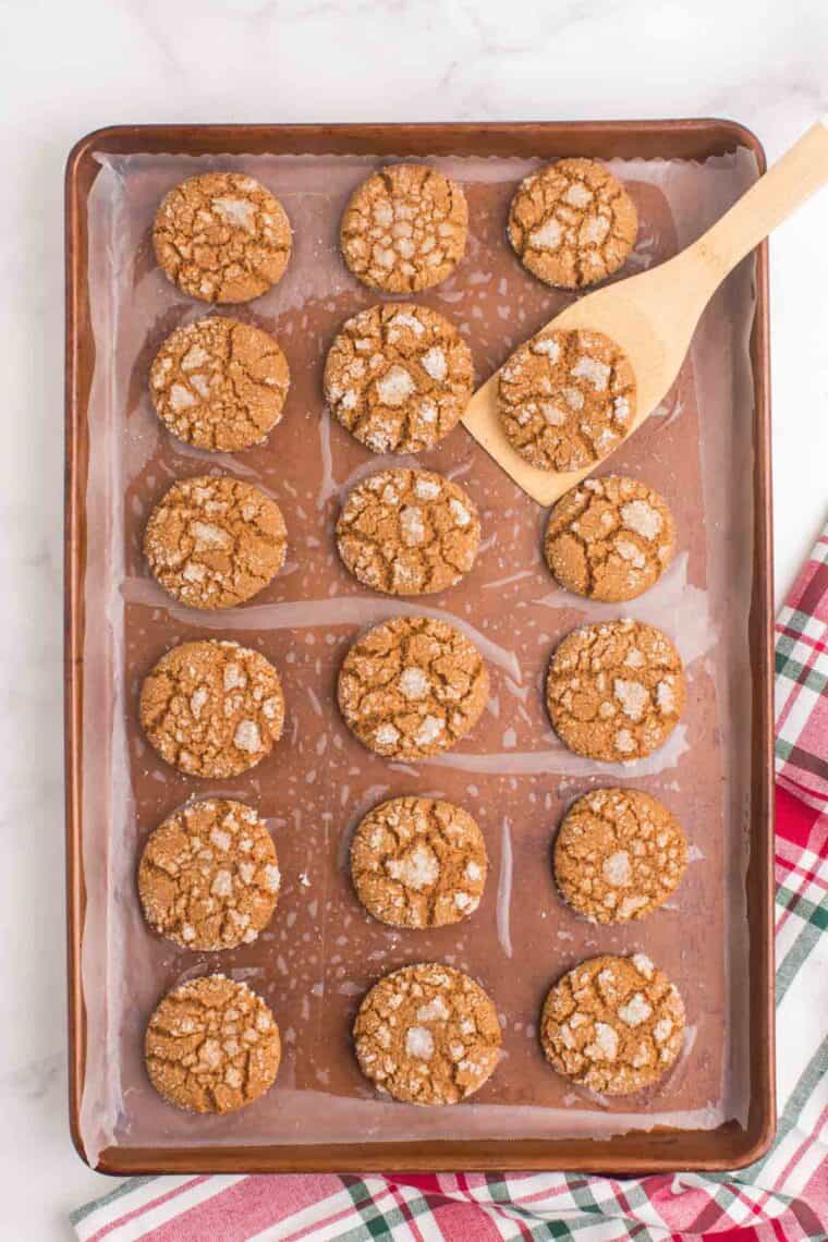 Gingersnaps on a sheet pan.