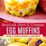 A closeup of an egg bite and one that's been cut into on a plate with fruit divided by a red box text overlay that says "Broccoli, Ham and Cheese Egg Muffins" and the words easy, make-ahead, and versatile.