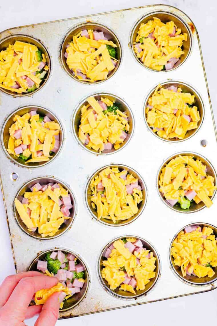 Cheese being sprinkled on top of the broccoli and ham in the cups of a muffin tin.