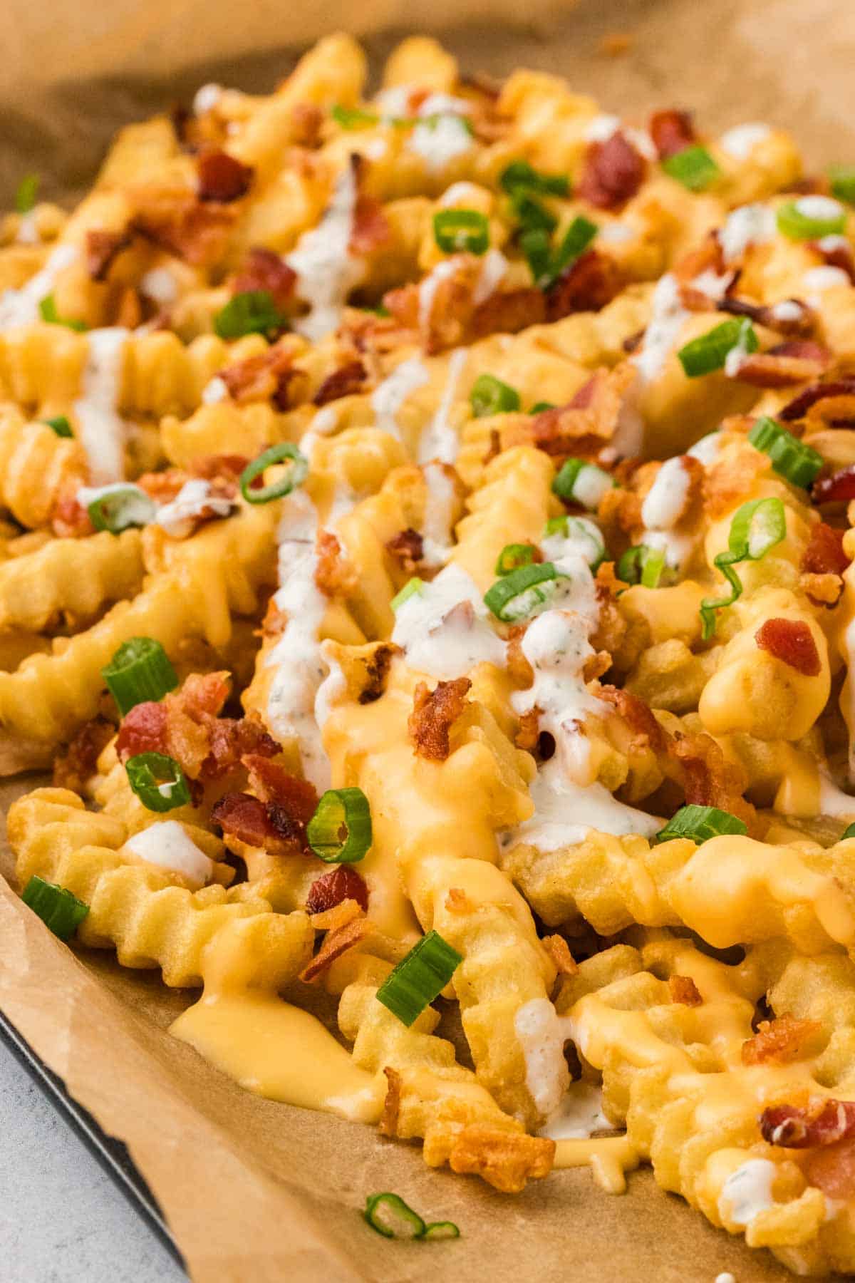 Side view of loaded fries