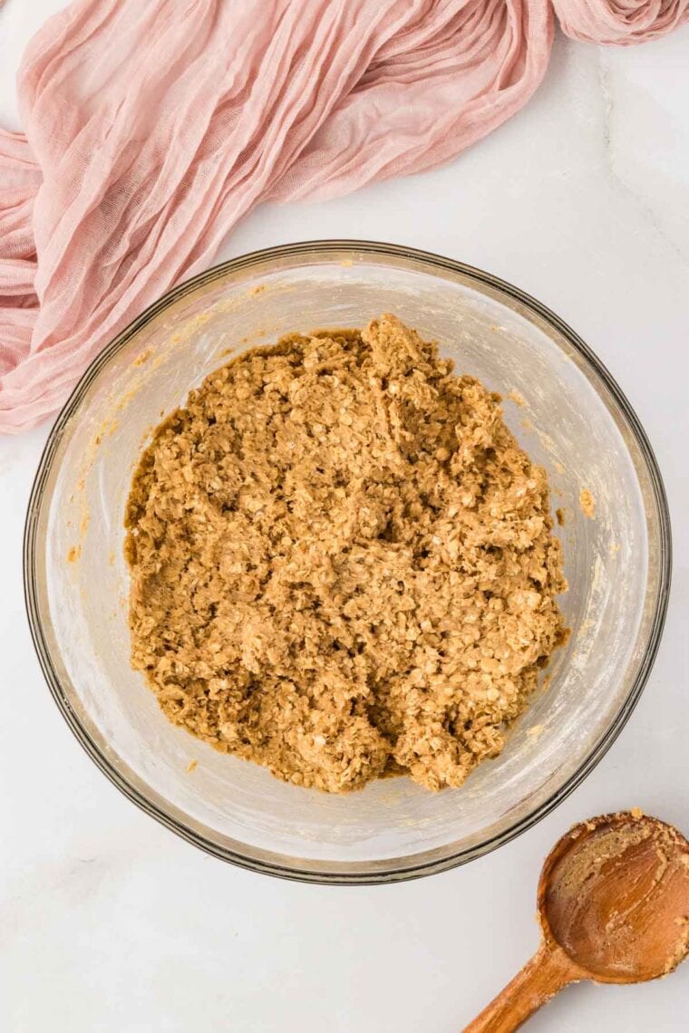 A bowl of oatmeal cookie dough