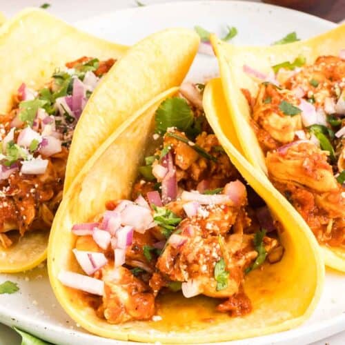 Close front view of chicken tinga tacos on a plate