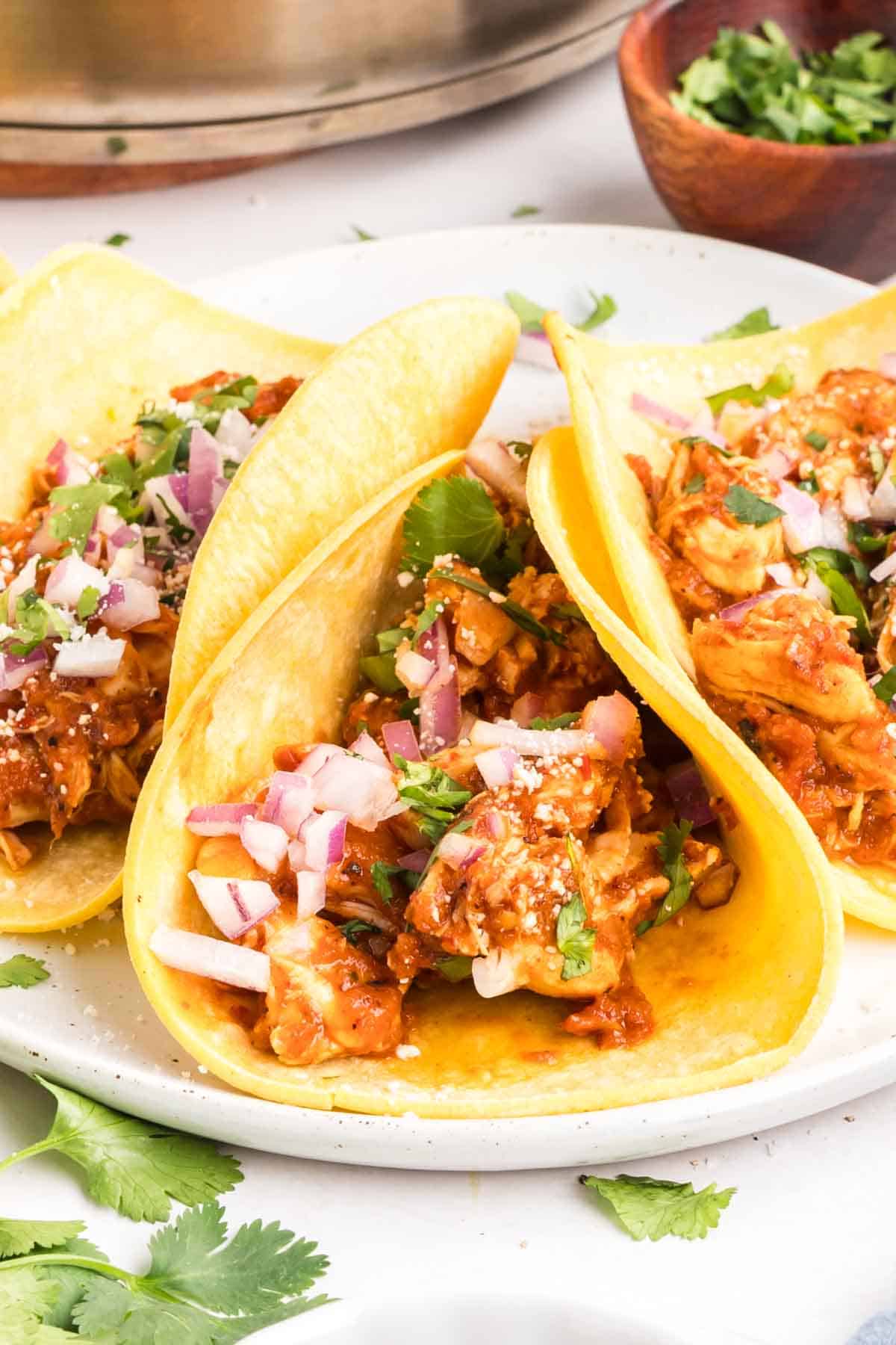 Close front view of chicken tinga tacos on a plate