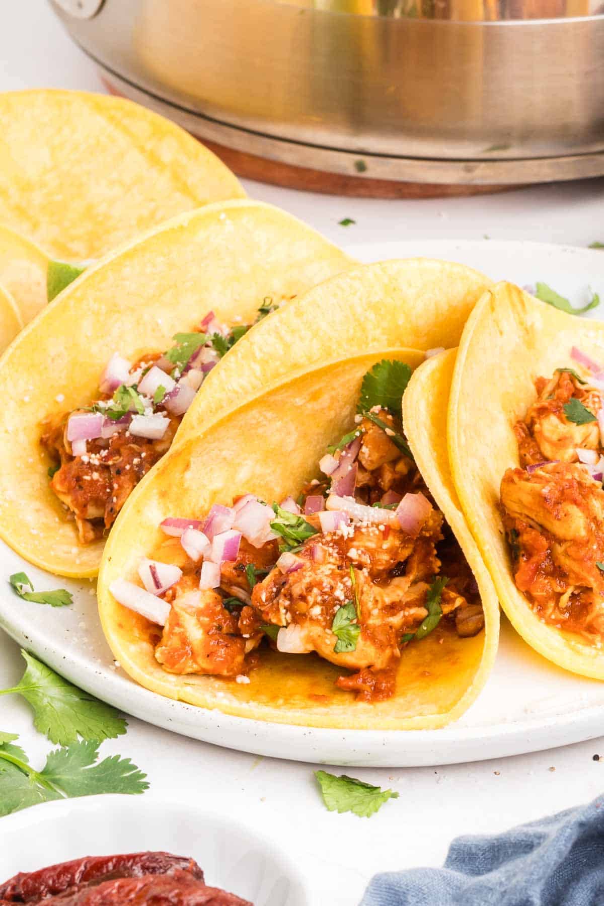 Four chicken tinga tacos on a plate