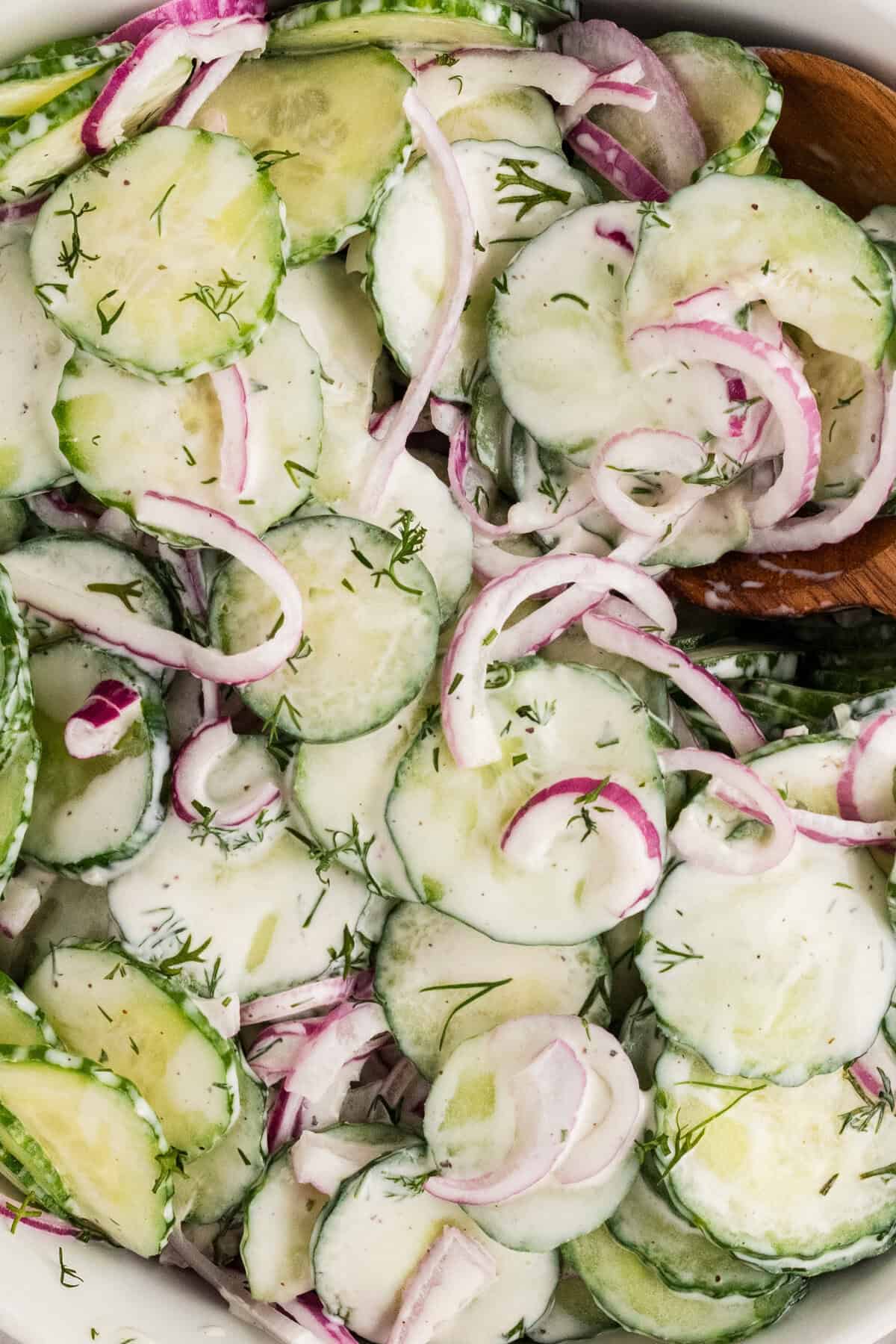 Close overhead view of creamy cucumber salad
