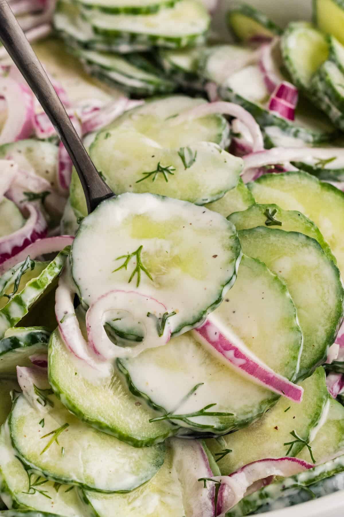 A fork in a bowl of creamy cucumber salad