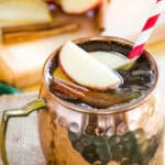 A cocktail garnished with apple slices and a cinnamon stick in a copper mug.