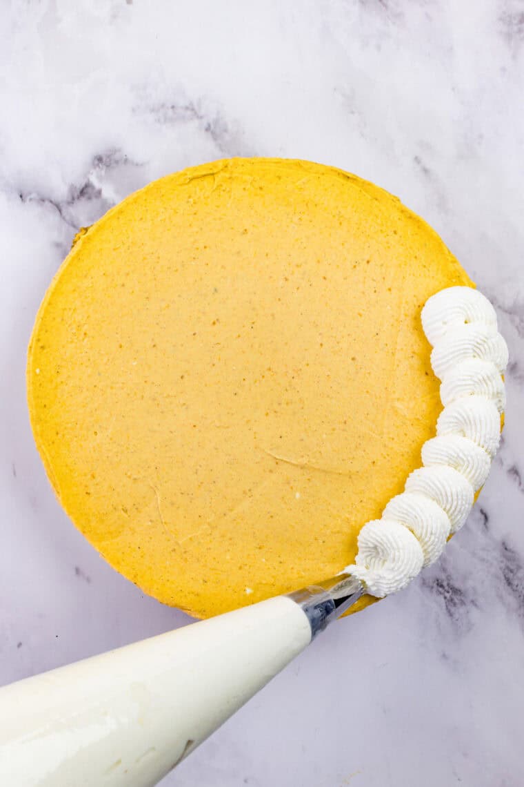 With a graham cracker crust and fluffy pumpkin filling, this gluten free no-bake pumpkin cheesecake is an easy fall dessert. Piping whipped cream on the edge of gluten free no bake pumpkin cheesecake